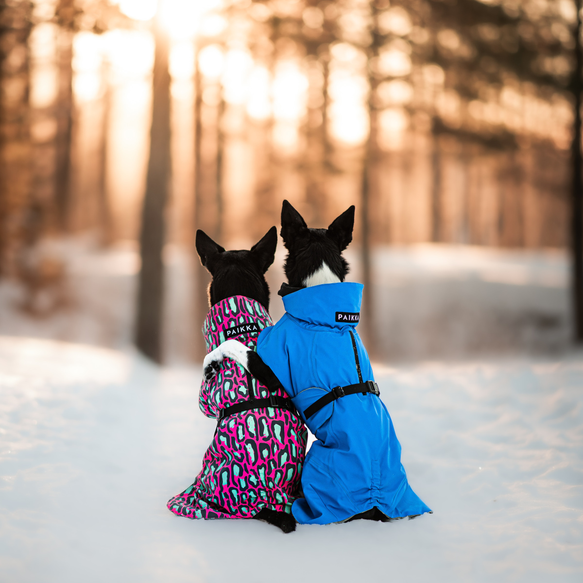 Зимова куртка зі спеціальною FIR-підкладкою для собак PAIKKA Visibility Winter Jacket Jungle Зимова куртка зі спеціальною FIR-підкладкою для собак PAIKKA Visibility Winter Jacket Jungle