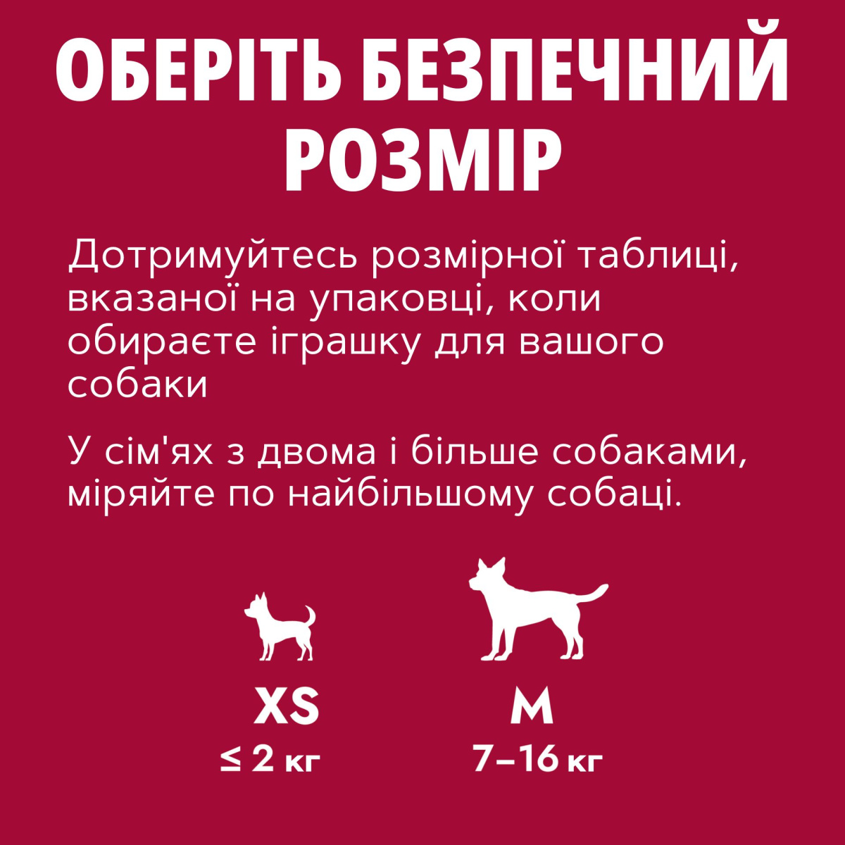 Іграшка для собак Кістка для ласощів з канатом KONG Goodie Bone mit Seil