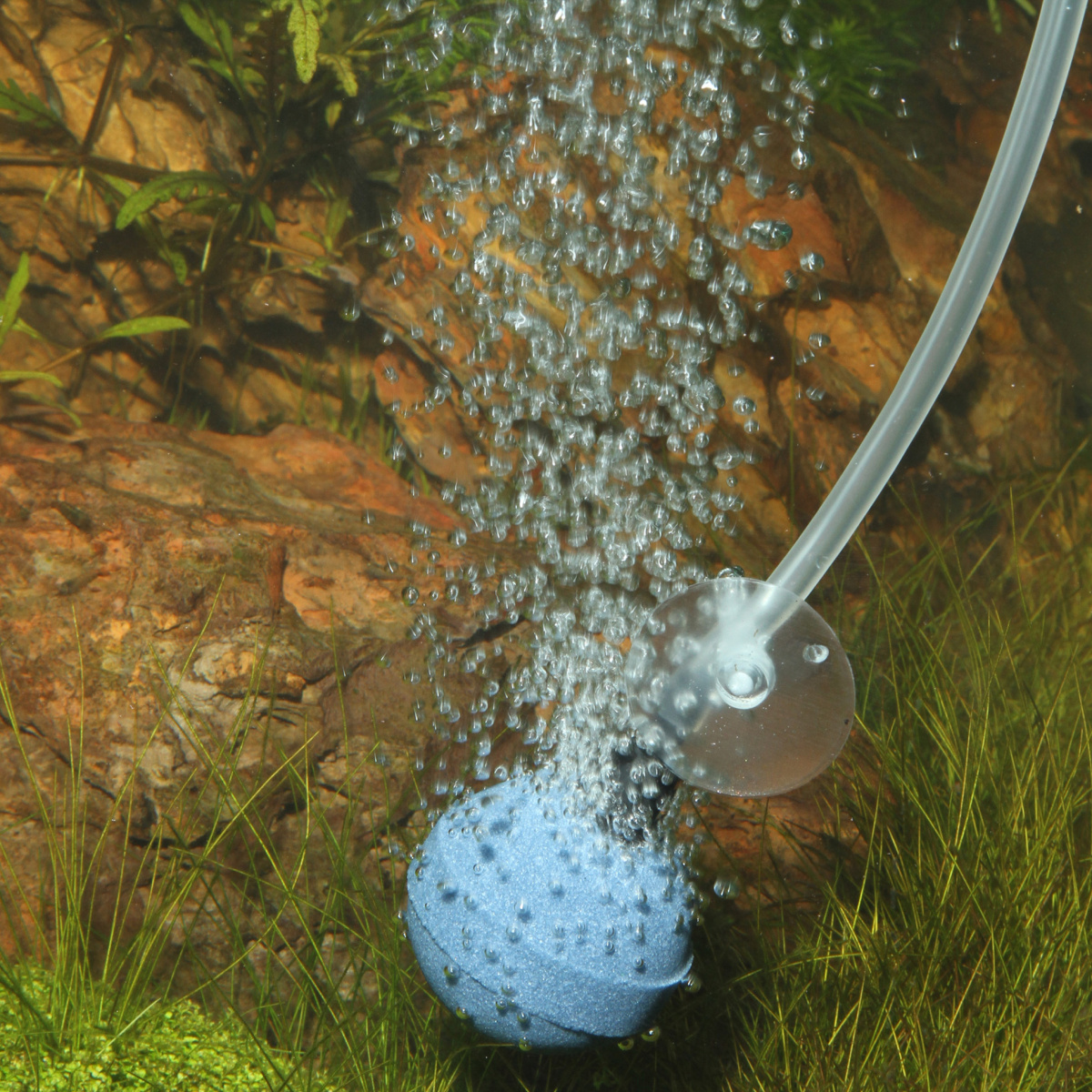 Круглий розпилювач повітря для дрібних бульбашок JBL Aeras Micro Ball L Круглий розпилювач повітря для дрібних бульбашок JBL Aeras Micro Ball L