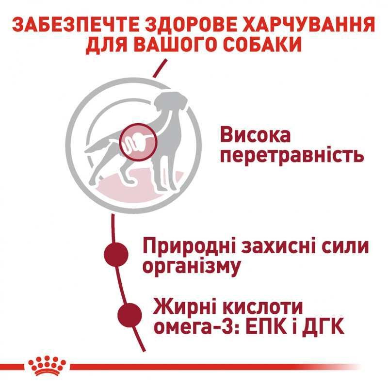 Вологий корм у соусі для дорослих собак середніх порід віком від 1 до 10 років Royal Canin Medium Adult