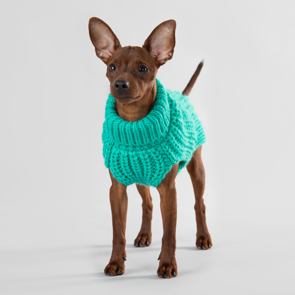 Вязаный зеленый свитер ручной работы из овечьей шерсти для собак PAIKKA Knit Sweater Green Вязаный зеленый свитер ручной работы из овечьей шерсти для собак PAIKKA Knit Sweater Green