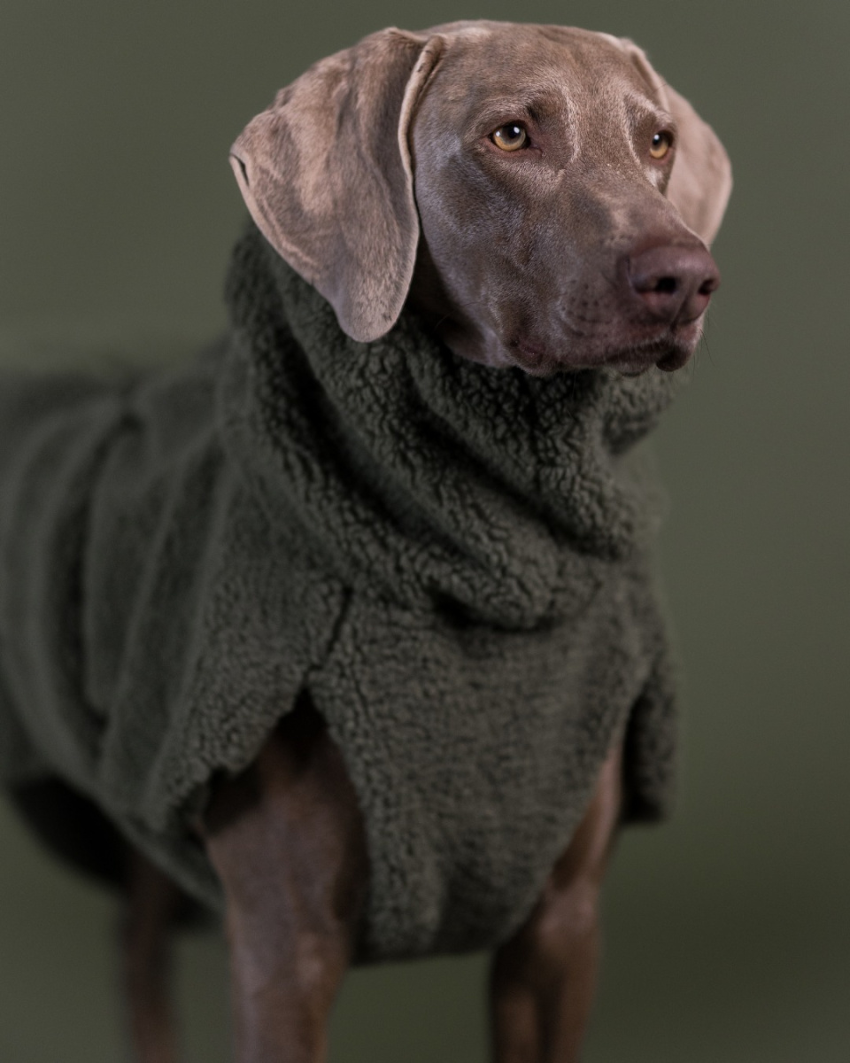 Хутряна сорочка для собак на Seawool-підкладці PAIKKA Sherpa Shirt Olive Хутряна сорочка для собак на Seawool-підкладці PAIKKA Sherpa Shirt Olive