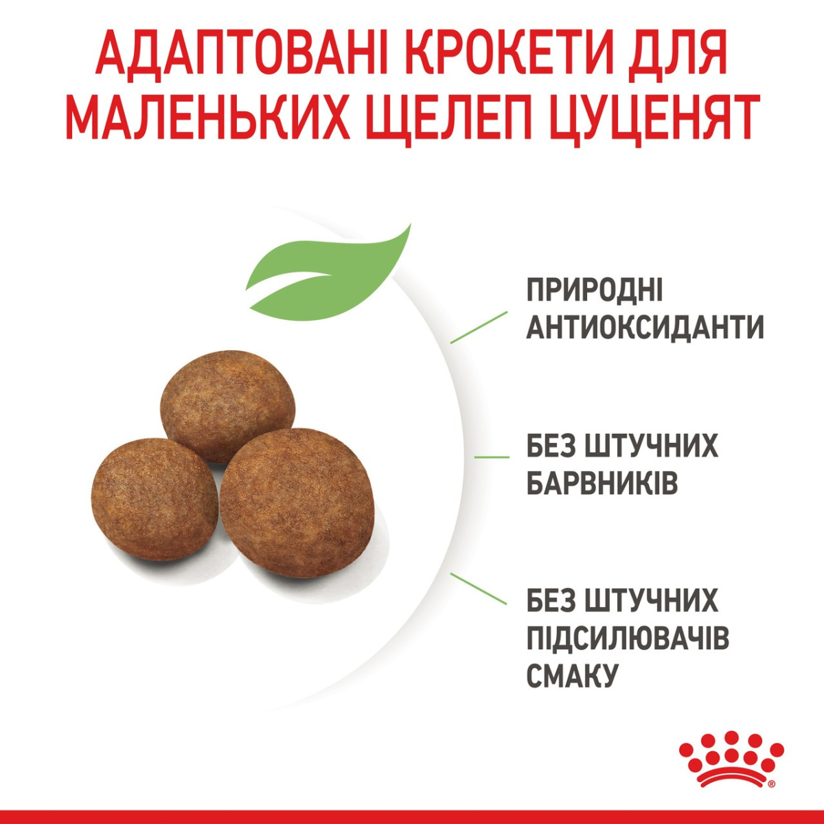 Сухой корм для щенков гигантских пород в возрасте от 2 до 8 месяцев Royal Canin Giant Puppy