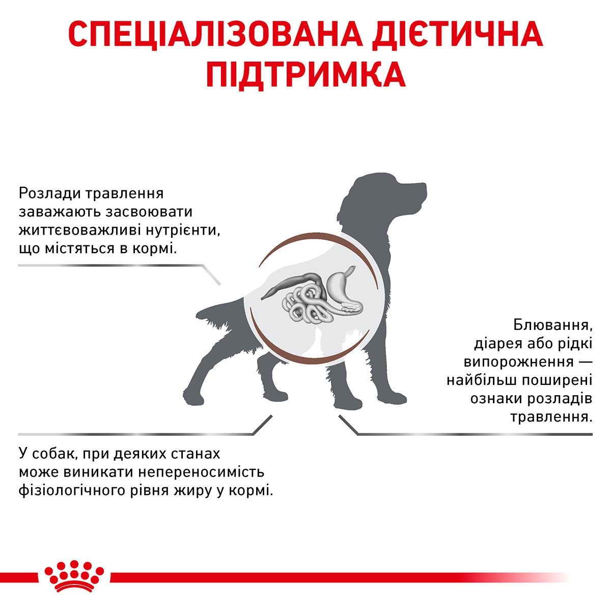 Сухий лікувальний низькокалорійний корм для собак при розладах травлення Royal Canin Veterinary Gastrointestinal Low Fat