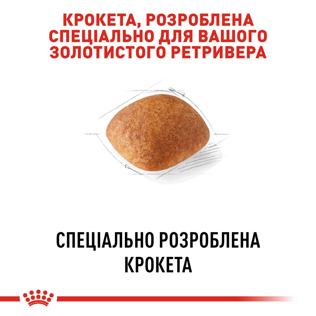 Сухой корм для собак породы Золотистый Ретривер в возрасте от 15 месяцев Royal Canin Golden Retriever Adult