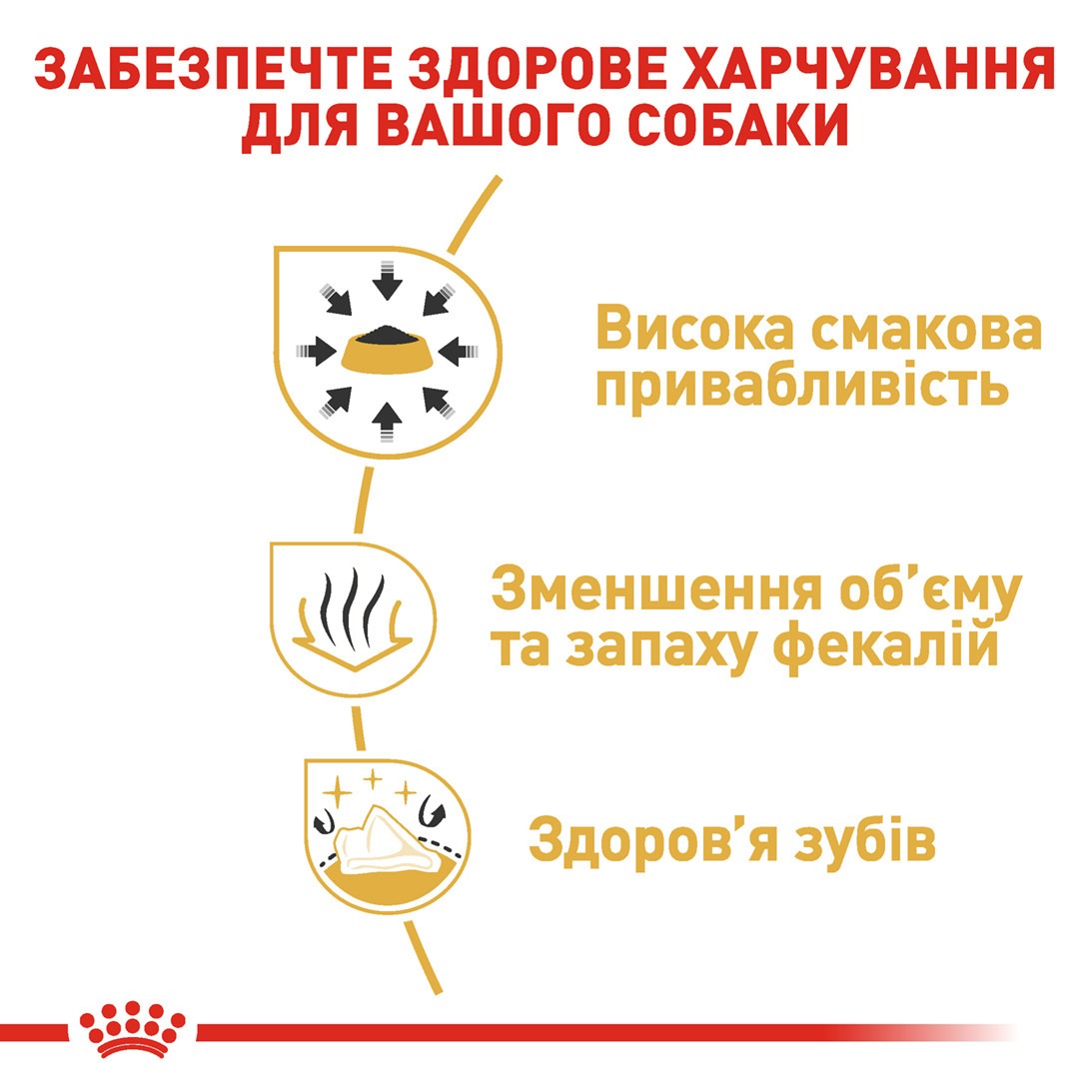 Сухой корм для собак породы Чихуахуа старше 8 месяцев Royal Canin Chihuahua Adult