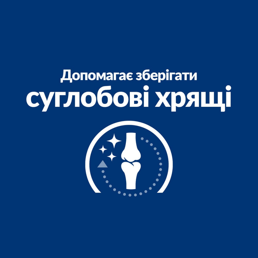 Сухой лечебный корм с курицей для котов при заболеваниях суставов на артрит Hill's Prescription Diet j/d Mobility