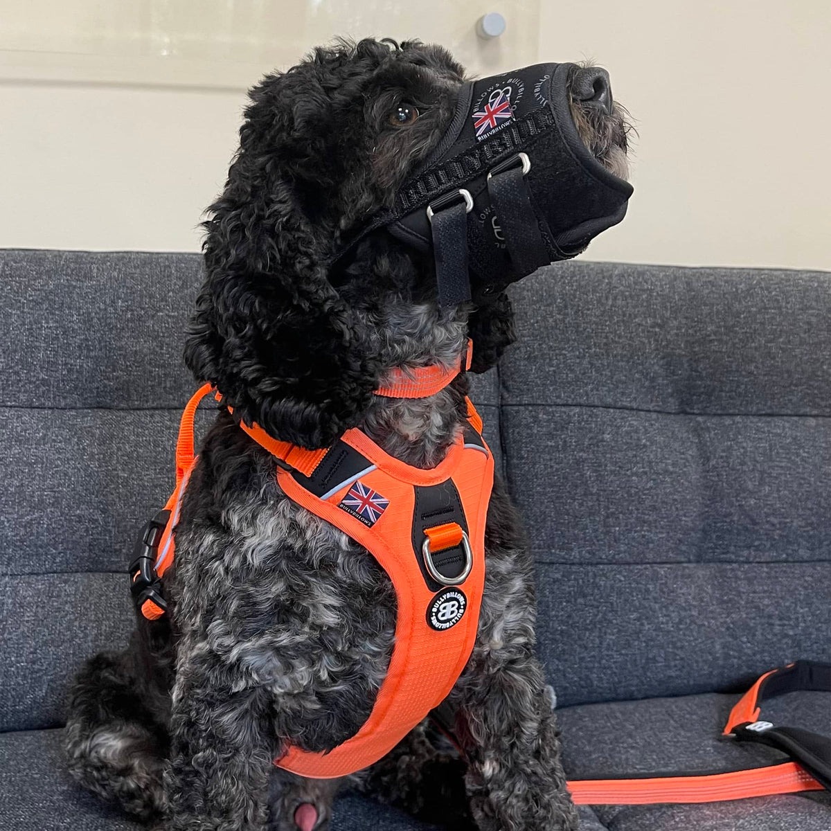 Регулируемый тканевый ветеринарный намордник для собак BullyBillows Fabric Safety-Emergency Muzzle Регулируемый тканевый ветеринарный намордник для собак BullyBillows Fabric Safety-Emergency Muzzle
