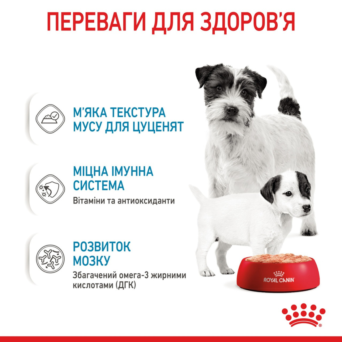 Консерва-мус для цуценят віком до 2 місяців та годуючих собак Royal Canin Starter Mother & Babydog Mousse Консерва-мус для цуценят віком до 2 місяців та годуючих собак Royal Canin Starter Mother & Babydog Mousse