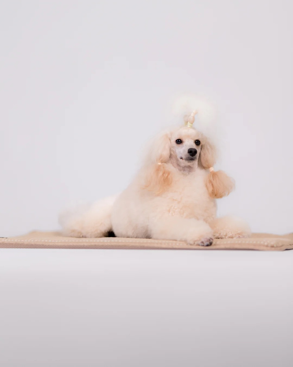 Інноваційна охолоджуюча підстилка для собак та котів PAIKKA Cooling Blanket Taupe