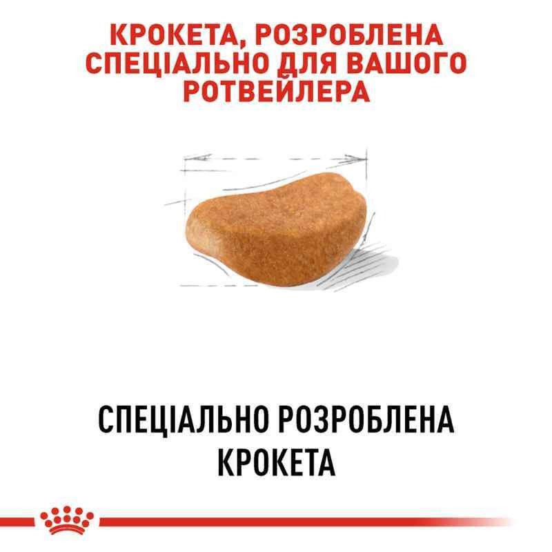 Сухой корм для собак породы Ротвейлер в возрасте от 18 месяцев Royal Canin Rottweiler Adult