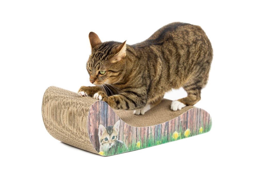 Картонна кігтеточка-дряпка з котячою м'ятою для кішок Lounge Catnip Carton Nobby Картонна кігтеточка-дряпка з котячою м'ятою для кішок Lounge Catnip Carton Nobby