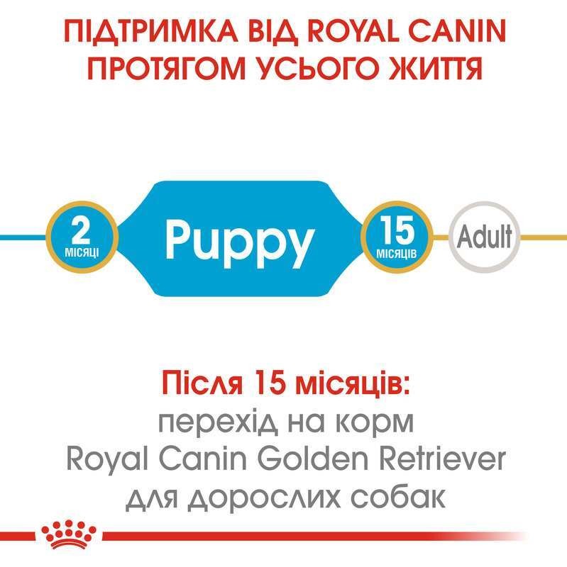 Сухий корм для цуценят породи Золотистий Ретривер віком до 15 місяців Royal Canin Golden Retriever Puppy