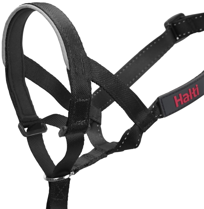 Дресирувальний нейлоновий намордник-недоуздок для собак Halti Headcollar