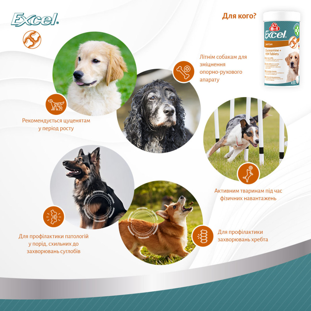 Комплексна добавка з глюкозаміном для відновлення суглобів собак 8in1 Excel Glucosamine+MSM