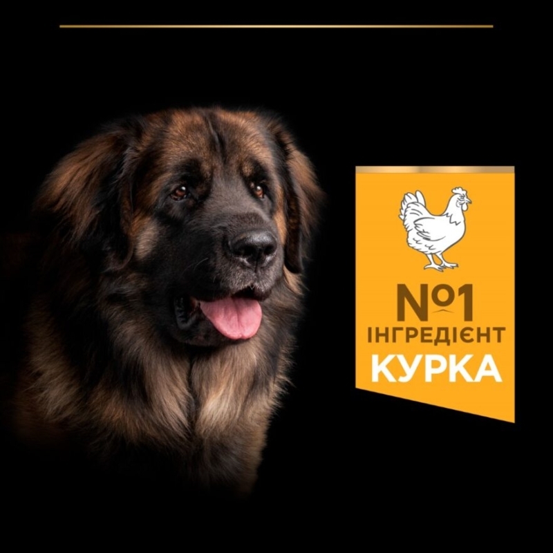 Сухой корм с курицей для больших собак массивного телосложения Purina Pro Plan Large Robust Adult 2+ Chicken