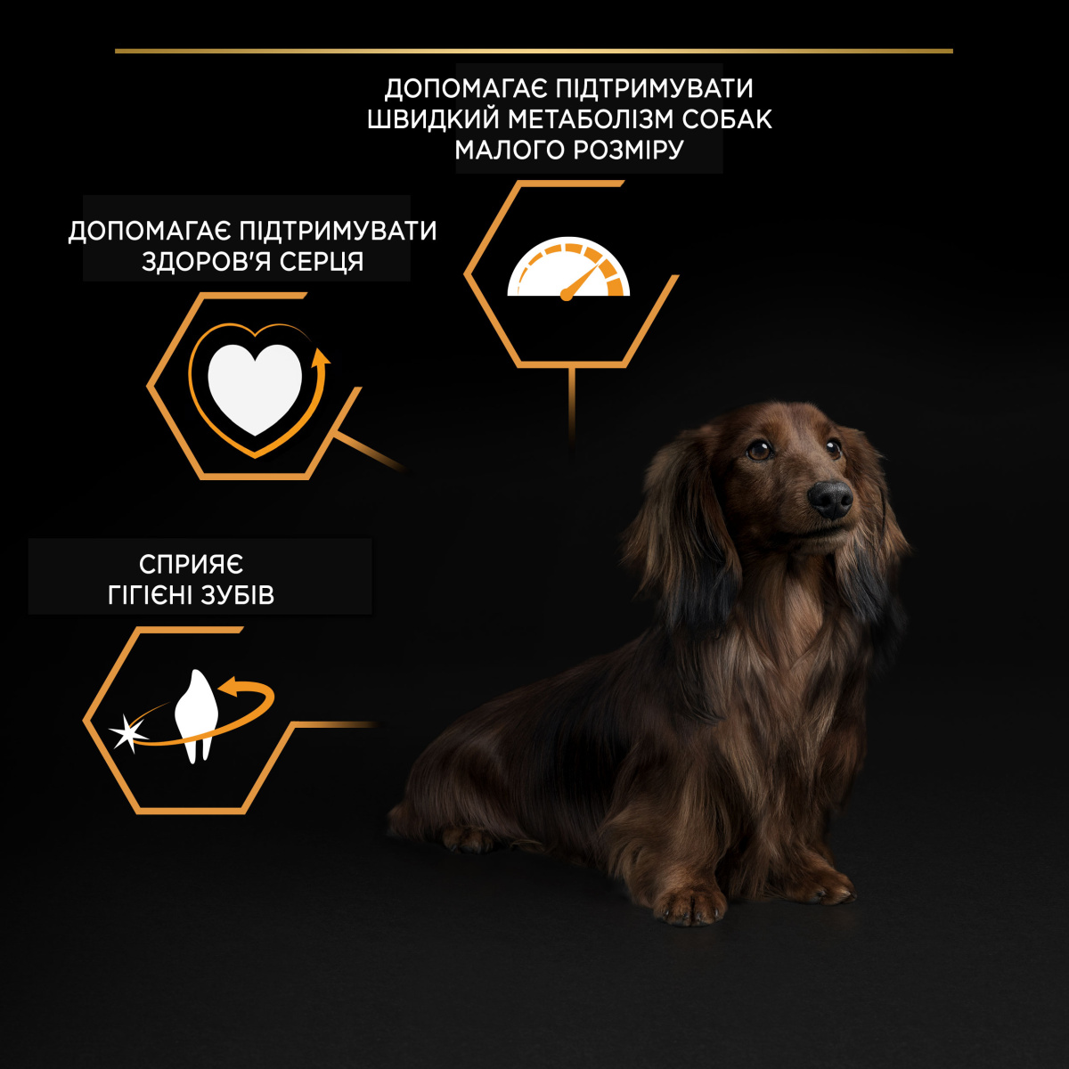 Сухий корм для собак маленьких порід з Куркою Purina Pro Plan Small & Mini Adult 1+ Everyday Nutrion Chicken