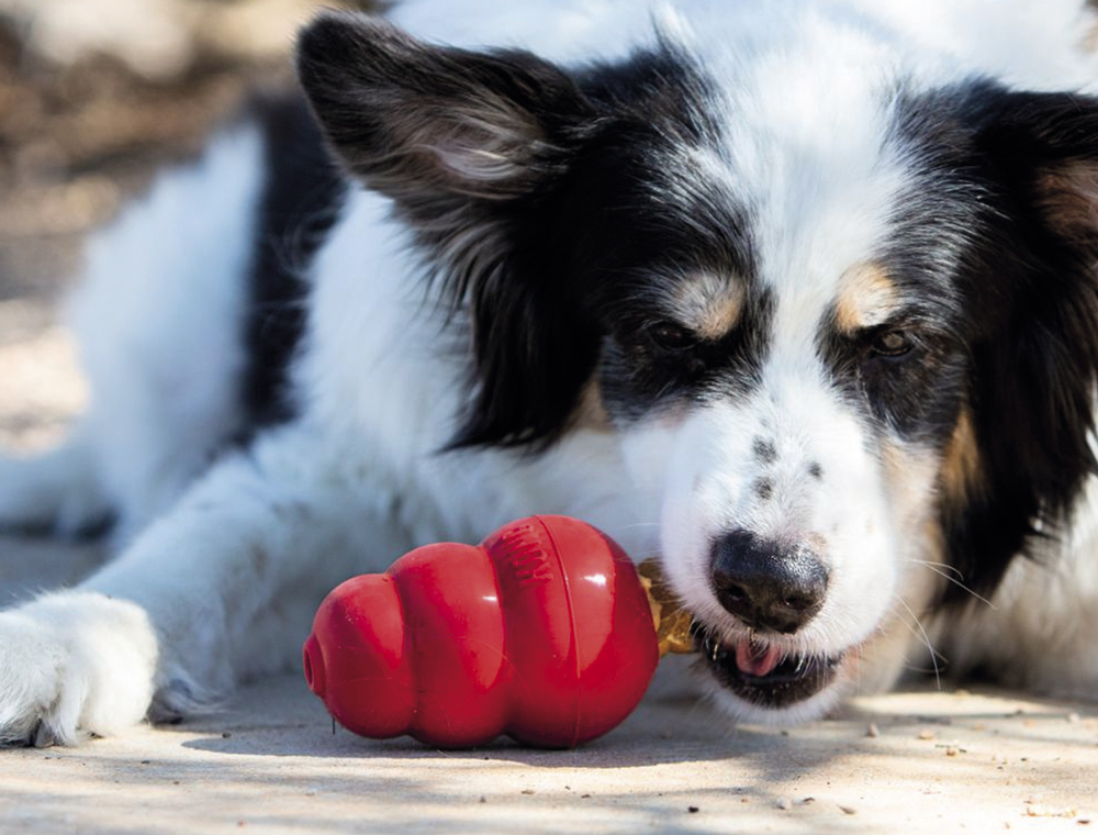 Іграшка для собак Конг Розвиваючий для ласощів KONG Classic