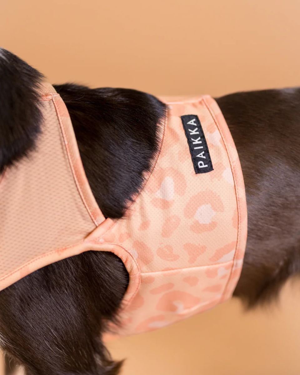 Охолоджуючий жилет для собак PAIKKA Cool Vest Peach