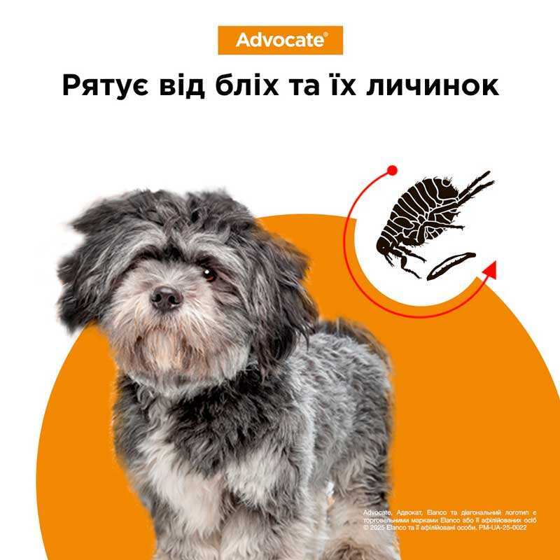 Антипаразитарные капли для собак весом до 4 кг от блох, гельминтов и кожных клещей Адвокат Elanco Advocate Dogs