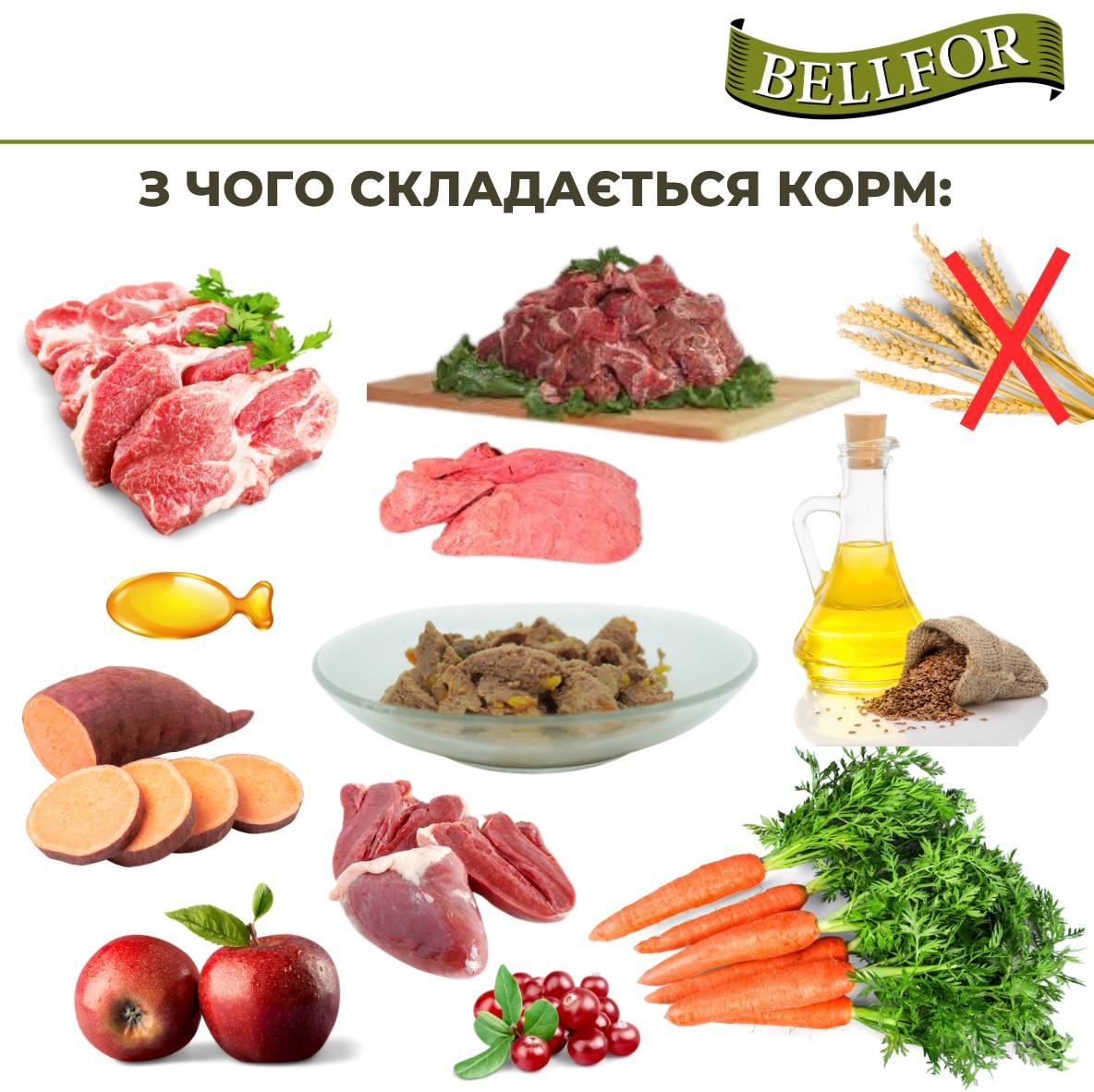 Беззернова монопротеїнова консерва для собак з м'ясом ягня Bellfor Heide-Menu Lamm