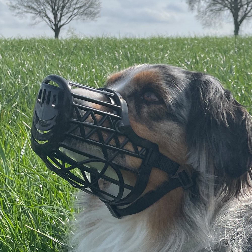 Регульований класичний намордник-корзинка для собак Standart Muzzle Nobby Регульований класичний намордник-корзинка для собак Standart Muzzle Nobby