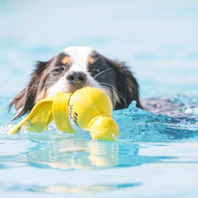 Іграшка для собак Плаваюча Вубба KONG Wubba Wet Іграшка для собак Плаваюча Вубба KONG Wubba Wet