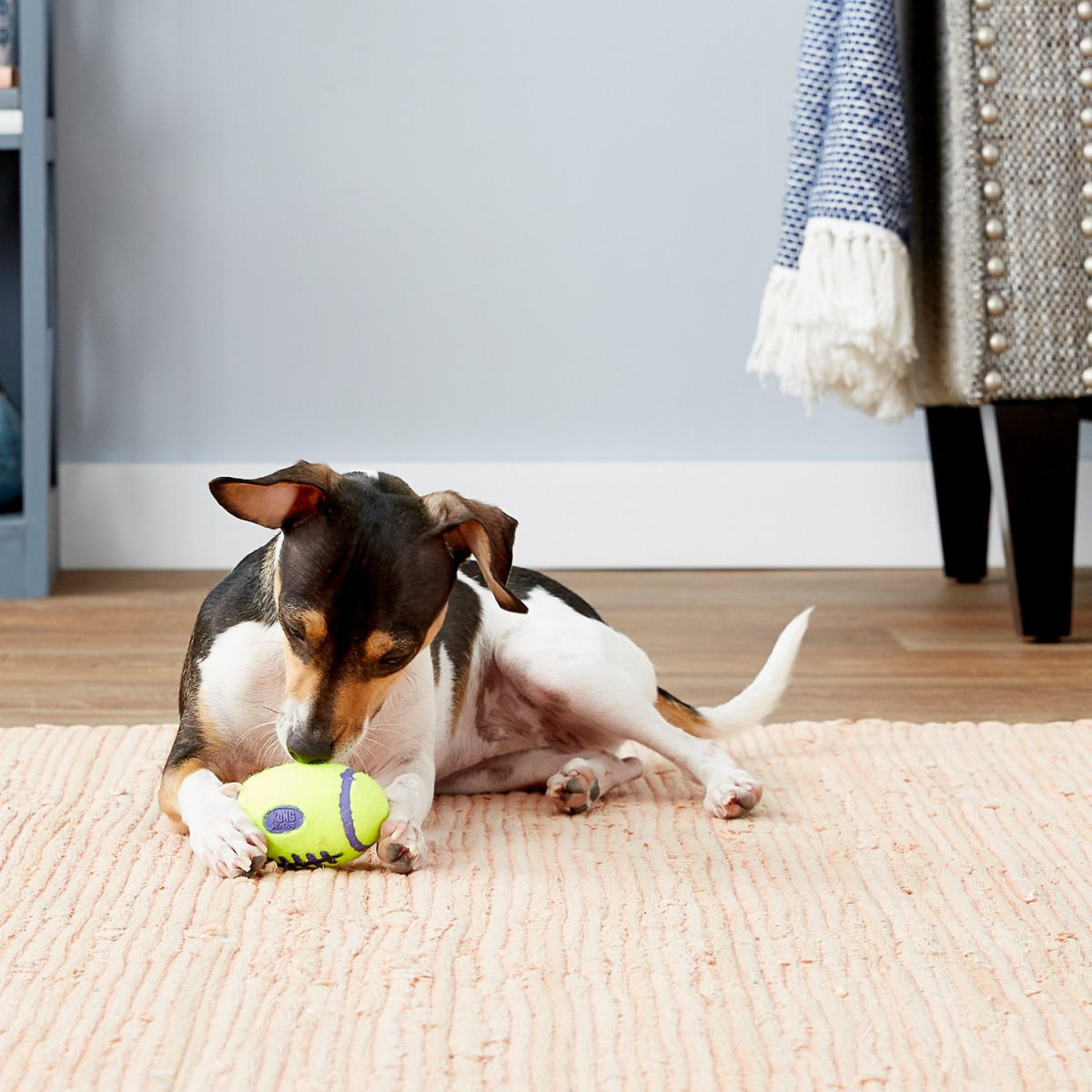 Игрушка для собак Мяч Регби Бережный уход за зубами KONG AirDog Squeaker Football Игрушка для собак Мяч Регби Бережный уход за зубами KONG AirDog Squeaker Football