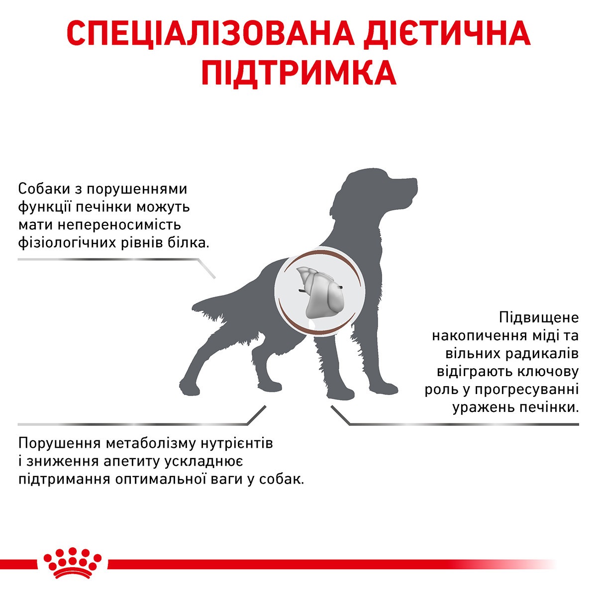 Сухой лечебный корм для собак при заболеваниях печени Royal Canin Veterinary Hepatic