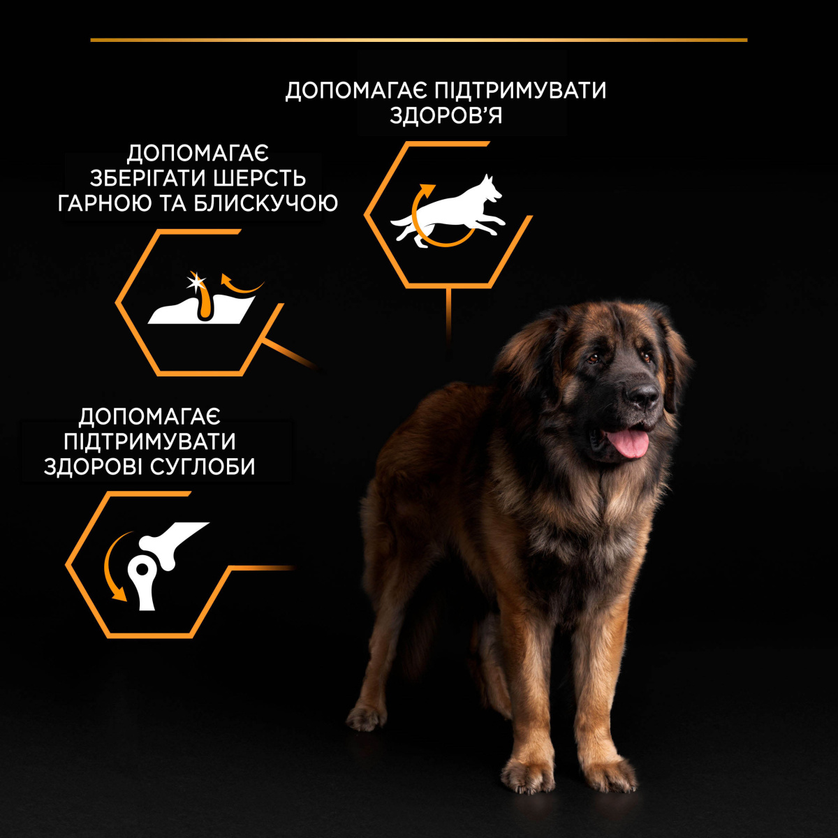 Сухий корм для великих собак масивної статури з Куркою Purina Pro Plan Large Robust Adult 2+ Chicken