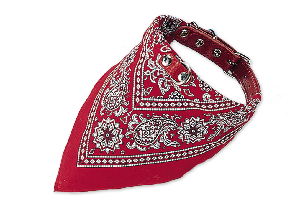 Кожаный ошейник-бандана для собак Орнамент Bandana Ornament Collar Nobby