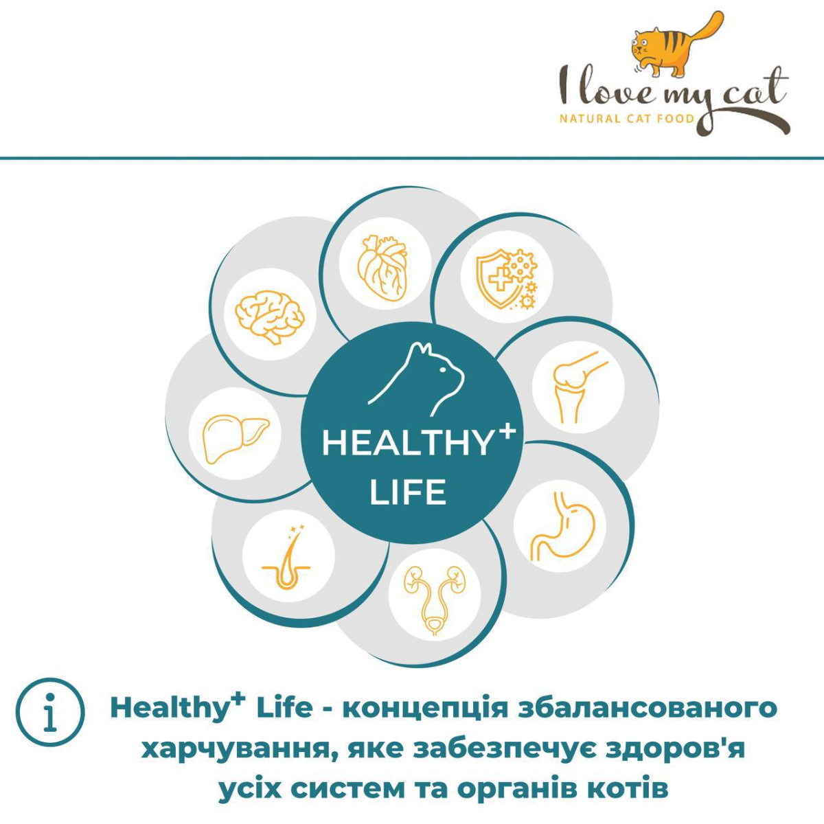 Беззернова консерва для котів холістик з індичкою, лососем та таурином для котів I Love my cat Salmon & Turkey