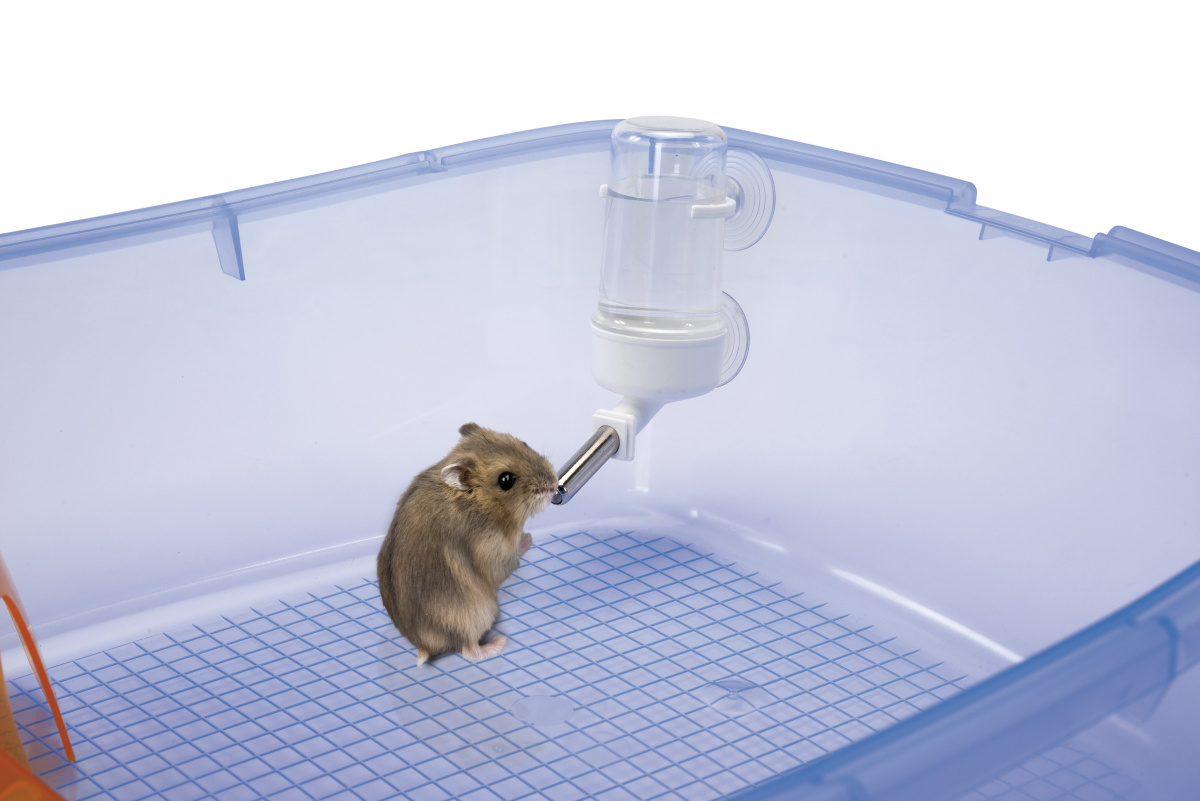 Кулькова напувалка з тримачем для гризуна Imac Bibber 70