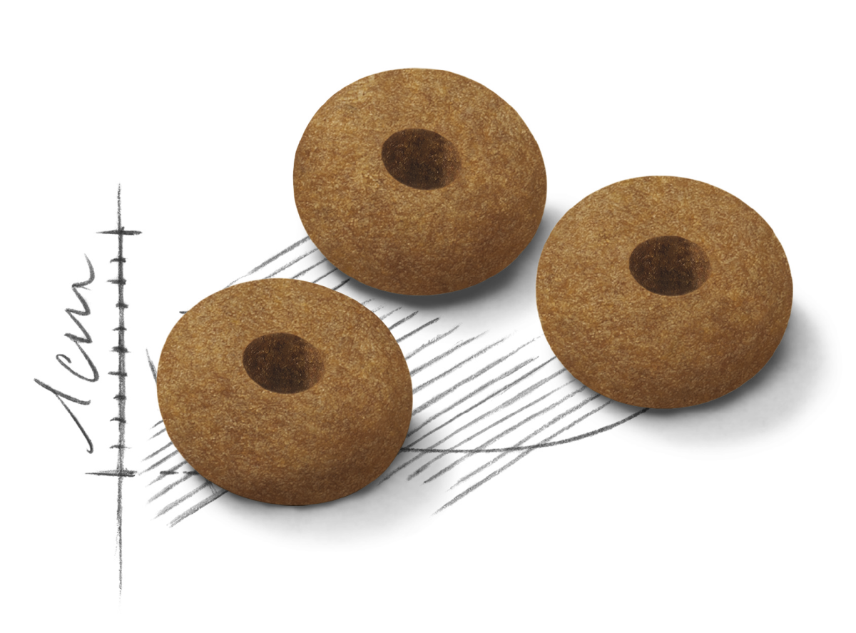 Сухой корм для стерилизованных кошек от 7 лет,склонных к выпрашиванию еды Royal Canin Sterilised Appetite Control 7+