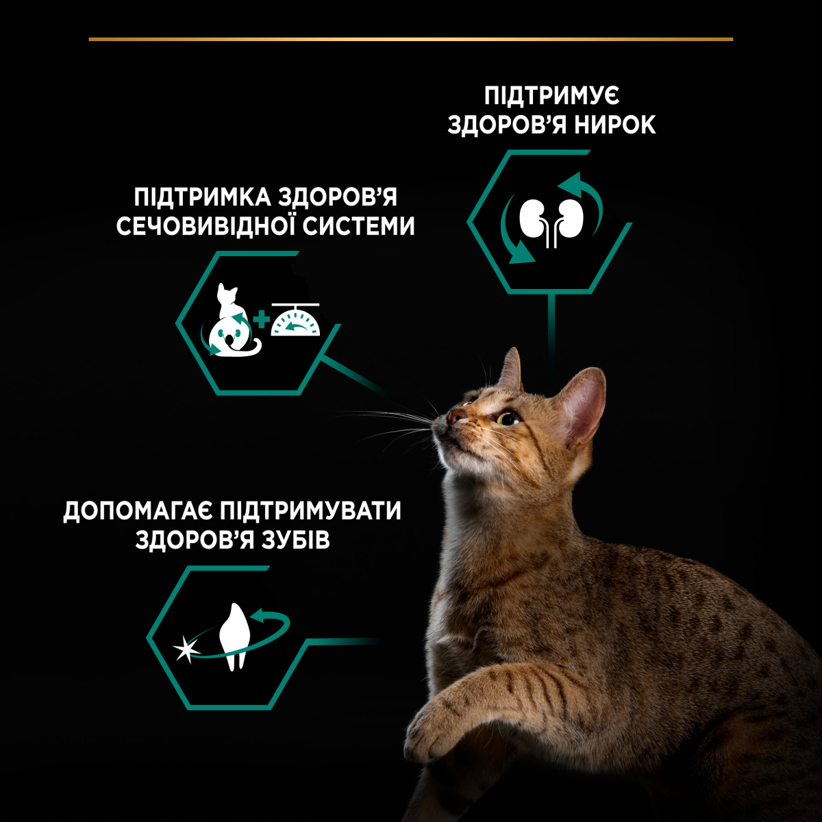 Сухой корм с кроликом для здоровья мочевовыводящей системы стерилизованных кошек Purina Pro Plan Sterilised Adult 1+ Renal Plus Rabbit
