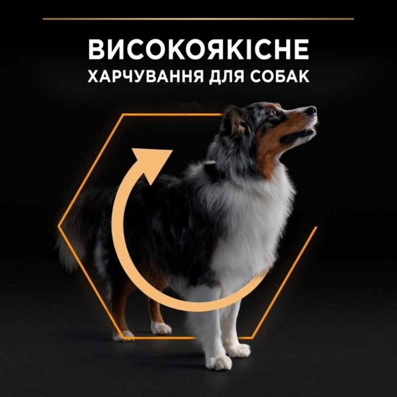 Сухий корм з куркою для дорослих собак середніх порід Purina Pro Plan Medium Everyday Nutrion Adult 1+ Chicken