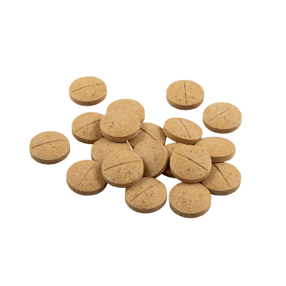 Мультивітамінний комплекс для дорослих собак середніх та великих порід 8in1 Excel Multi Vitamin Adult