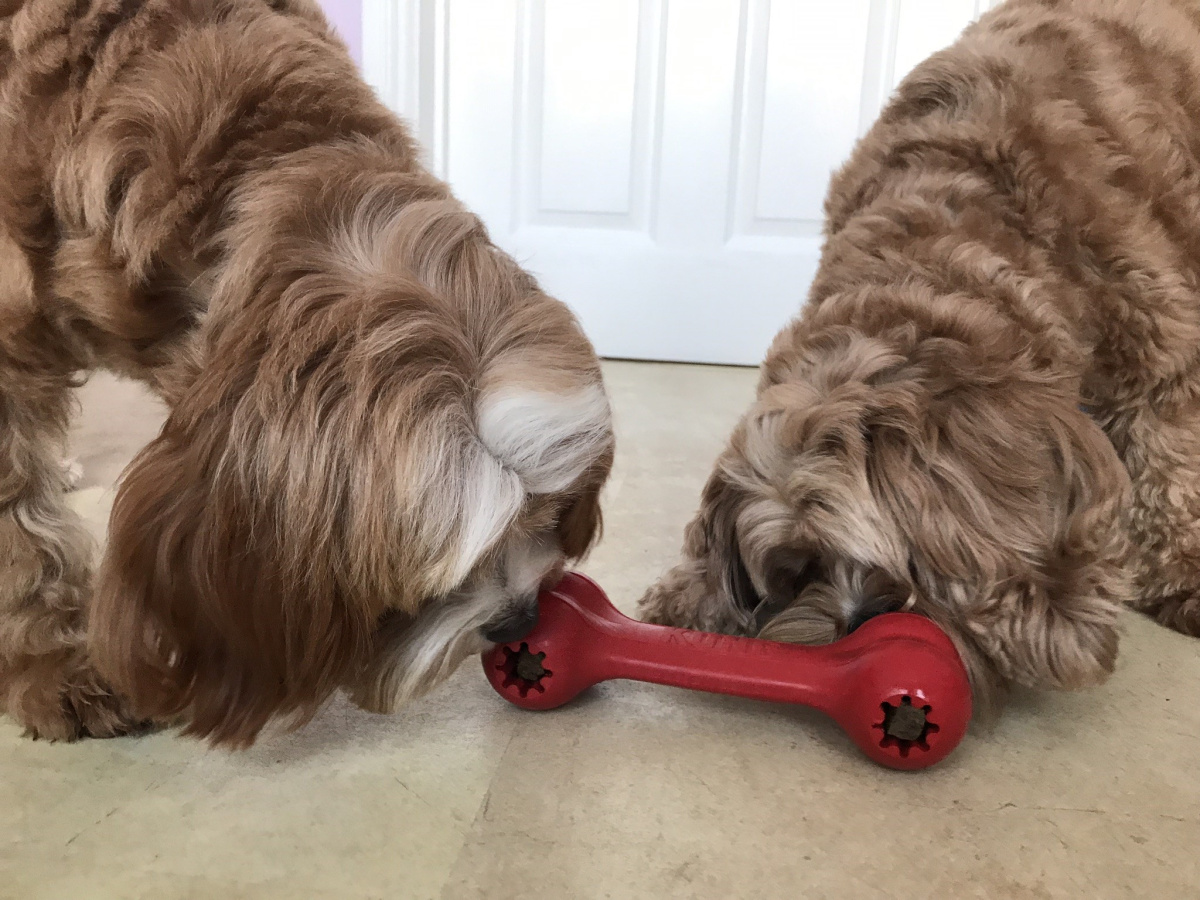 Игрушка для собак Косточка для лакомств KONG Classic Goodie Bone