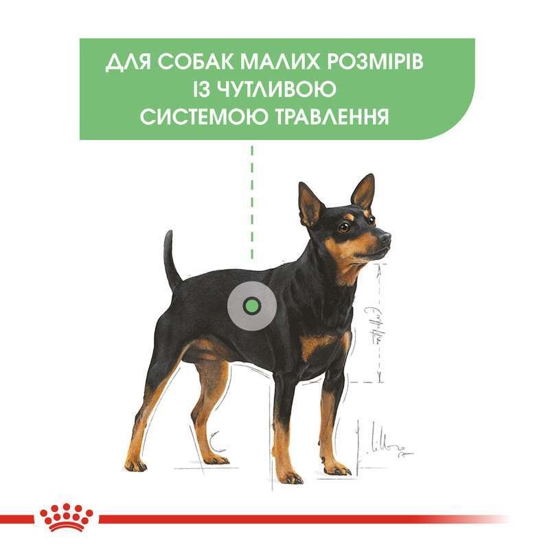 Сухой корм для собак маленьких пород с чувствительным пищеварением Royal Canin Mini Digestive Care Adult