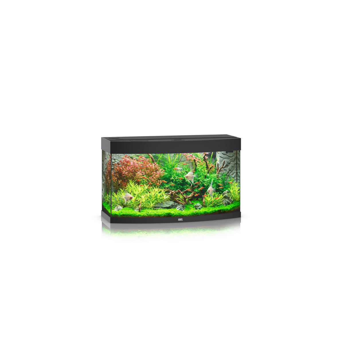 Панорамний акваріум 180 л з комплектом обладнання та системою фільтрації Bioflow M Juwel Vision 180 LED Панорамний акваріум 180 л з комплектом обладнання та системою фільтрації Bioflow M Juwel Vision 180 LED