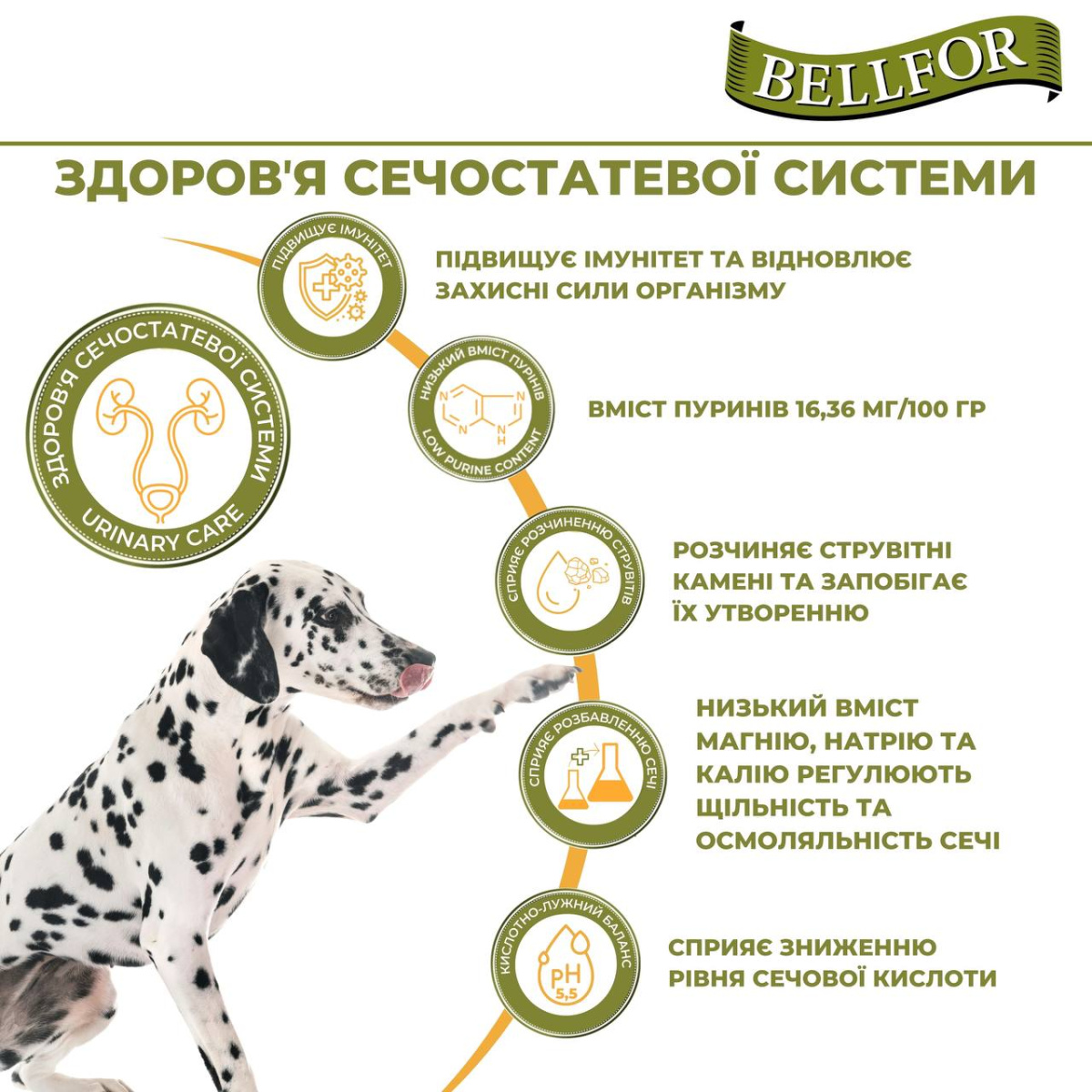 Беззерновой сухой корм холистик на основе белка насекомых с чечевицей и тапиокой для взрослых собак Bellfor Insect Naturfarm-Schmaus