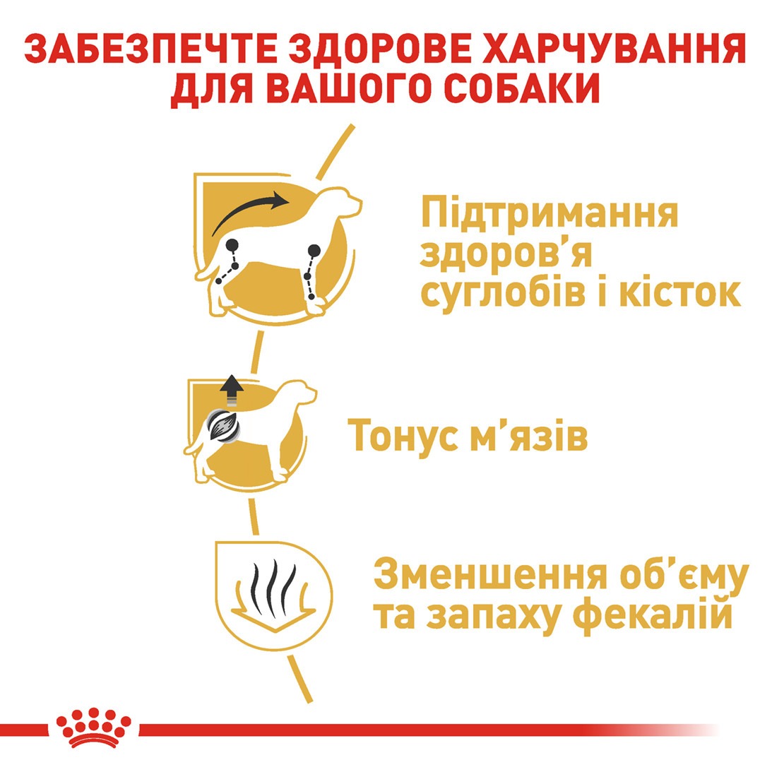 Сухой корм для собак породы Такса старше 10 месяцев Royal Canin Dachshund Adult