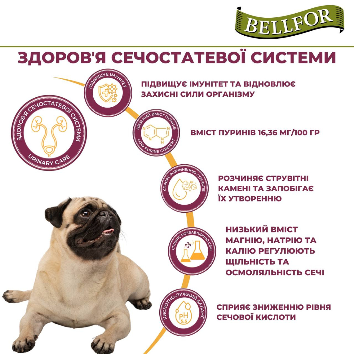 Беззерновой сухой корм холистик с белком насекомых, чечевицей и тапиокой для маленьких собак Bellfor Insect Naturfarm-Schmaus Mini