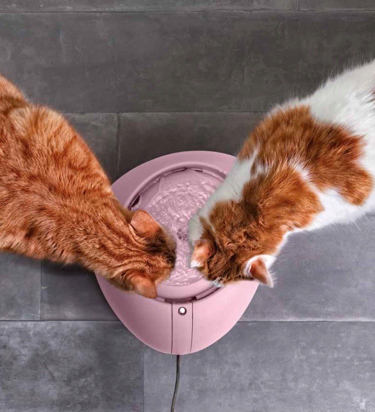 Питьевой фонтан для кошек и мелких собак Imac_1.jpeg