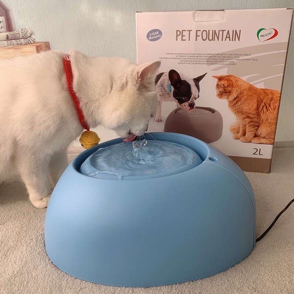 Питьевой фонтан для кошек и мелких собак Imac_2.jpeg