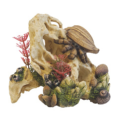 Декор для акваріума Мушлі на камені Shell Stone Cave Aqua Ornaments Nobby