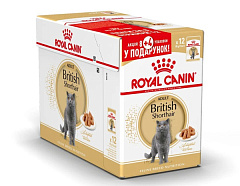 Акція Royal Canin British Shorthair Adult 85 гр! Купуй 8 пауків та отримуй у подарунок 4 пауки! (Блок з 12 шт. за ціною 8 шт.)