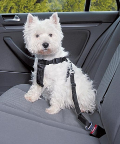 Автомобільна шлея з ременем безпеки для собак Auto Security Nobby