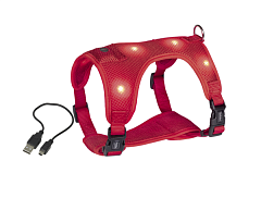 Світлодіодна анатомічна шлея-жилет для собак, що світиться вночі Flash Mesh LED Vest Harness Nobby Світлодіодна анатомічна шлея-жилет для собак, що світиться вночі Flash Mesh LED Vest Harness Nobby