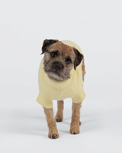 Эргономичный желтый мягкий теплый свитер для собак PAIKKA Furry Knit Sweater Pale Banana